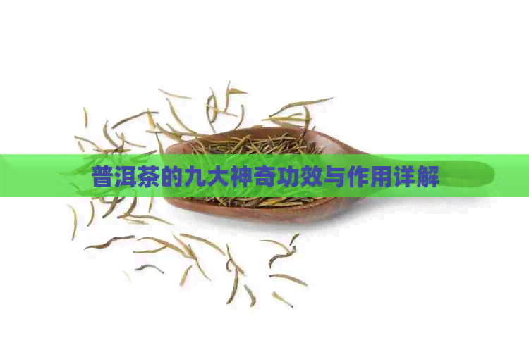 普洱茶的九大神奇功效与作用详解