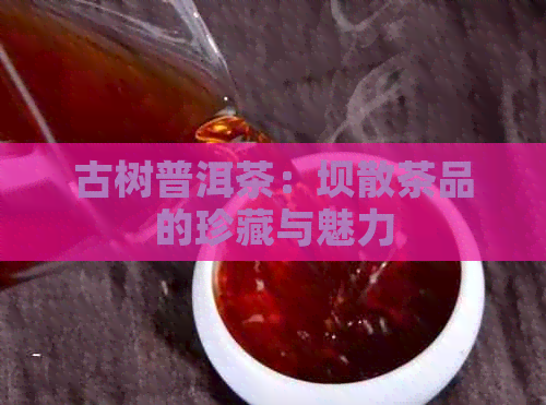 古树普洱茶：坝散茶品的珍藏与魅力