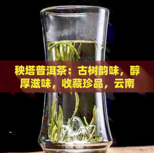 秧塔普洱茶：古树韵味，醇厚滋味，收藏珍品，云南原生态，普洱茶叶新境界