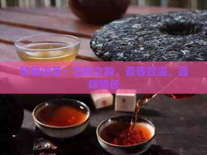 韵普洱茶：古树之韵，茶香四溢，品味悠长