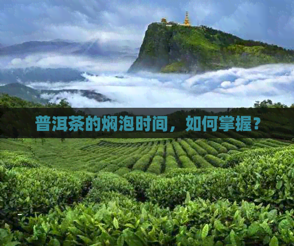 普洱茶的焖泡时间，如何掌握？