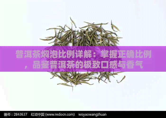 普洱茶焖泡比例详解：掌握正确比例，品鉴普洱茶的极致口感与香气