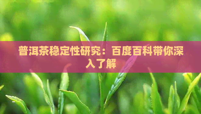 普洱茶稳定性研究：百度百科带你深入了解