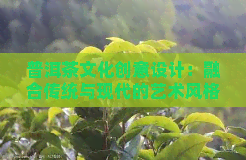 普洱茶文化创意设计：融合传统与现代的艺术风格