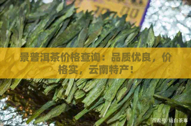 景普洱茶价格查询：品质优良，价格实，云南特产！