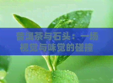 普洱茶与石头：一场视觉与味觉的碰撞