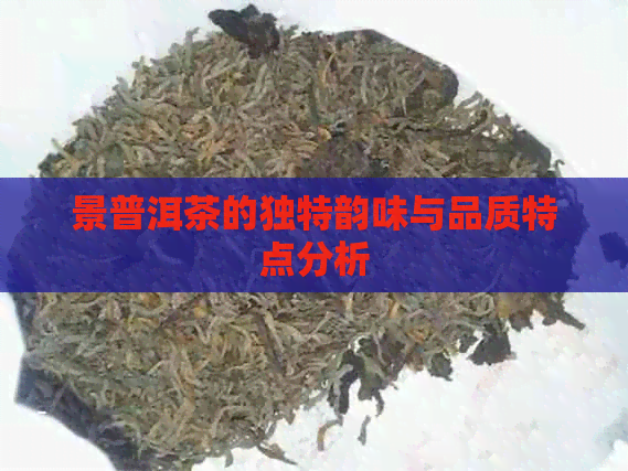 景普洱茶的独特韵味与品质特点分析