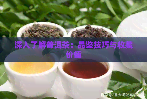 深入了解普洱茶：品鉴技巧与收藏价值