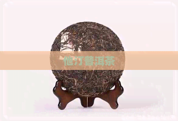 他汀普洱茶