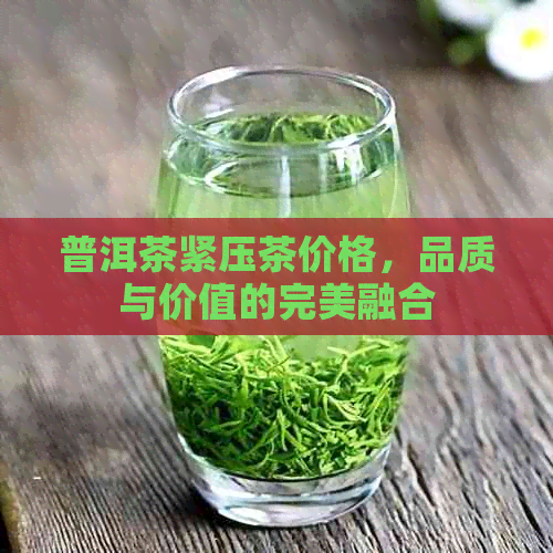 普洱茶紧压茶价格，品质与价值的完美融合