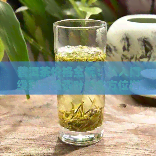 普洱茶价格全解：从入门级到高端茶叶的全方位指南