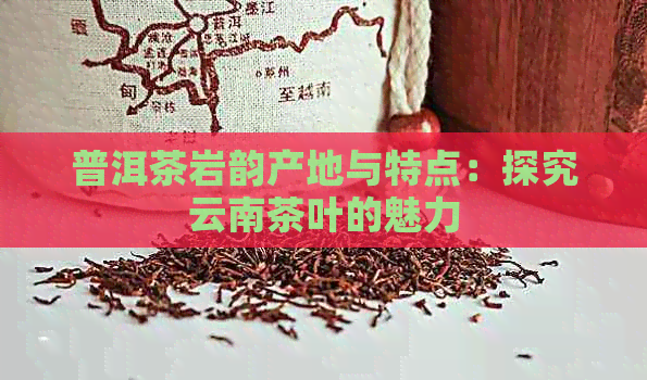 普洱茶岩韵产地与特点：探究云南茶叶的魅力