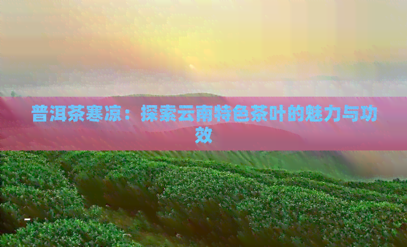 普洱茶寒凉：探索云南特色茶叶的魅力与功效