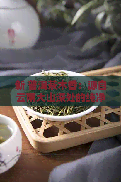 新 普洱茶木香：源自云南大山深处的纯净韵味与独特魅力