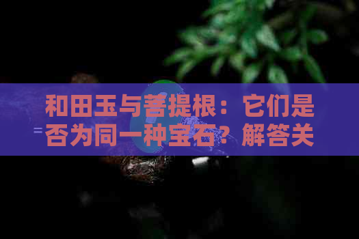 和田玉与菩提根：它们是否为同一种宝石？解答关于这两种宝石的辨析