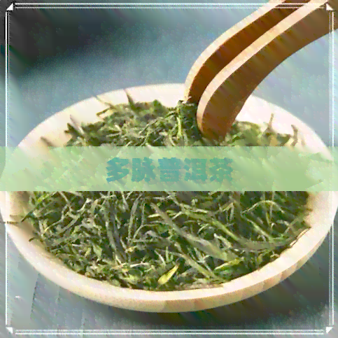 多脉普洱茶