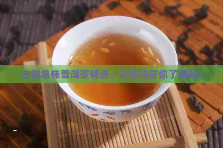 古树单株普洱茶特点，这些特征你了解吗？