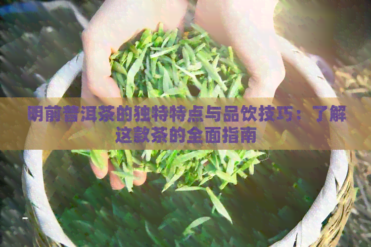 明前普洱茶的独特特点与品饮技巧：了解这款茶的全面指南