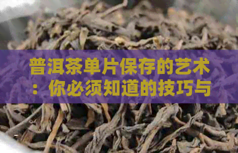 普洱茶单片保存的艺术：你必须知道的技巧与要点