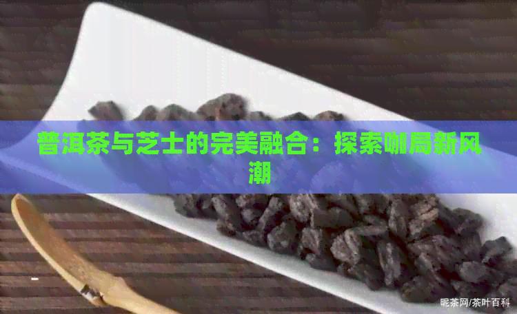 普洱茶与芝士的完美融合：探索咖局新风潮