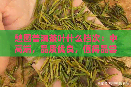 憩园普洱茶叶什么档次：中高端，品质优良，值得品尝