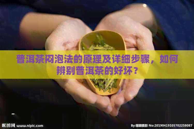 普洱茶闷泡法的原理及详细步骤，如何辨别普洱茶的好坏？