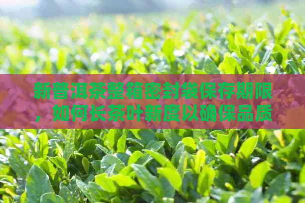 新普洱茶整箱密封袋保存期限，如何长茶叶新度以确保品质？