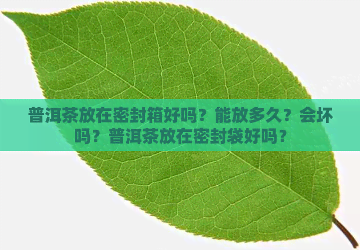 普洱茶放在密封箱好吗？能放多久？会坏吗？普洱茶放在密封袋好吗？