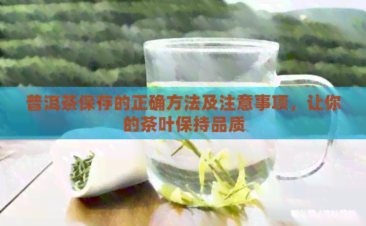 普洱茶保存的正确方法及注意事项，让你的茶叶保持品质