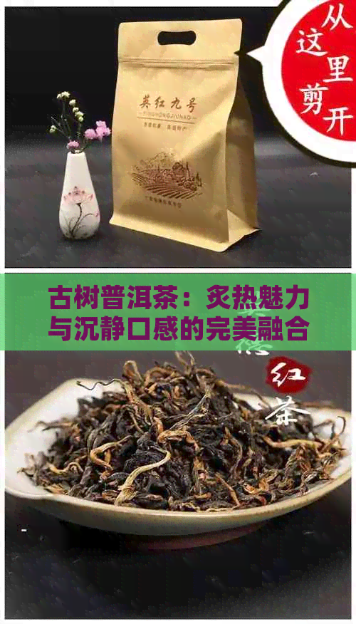 古树普洱茶：炙热魅力与沉静口感的完美融合