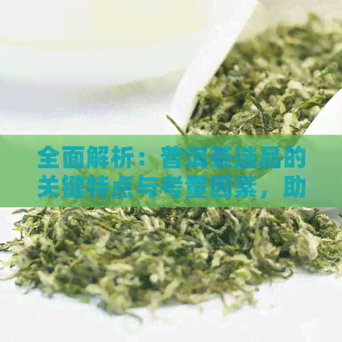 全面解析：普洱茶选品的关键特点与考量因素，助您轻松挑选优质茶品