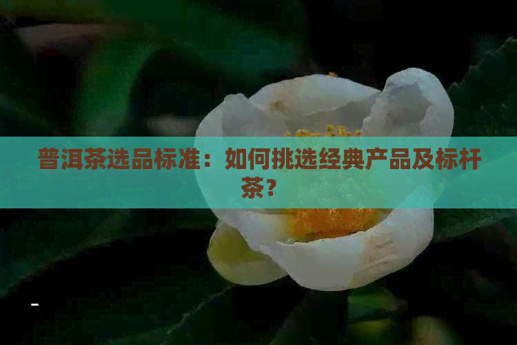 普洱茶选品标准：如何挑选经典产品及标杆茶？