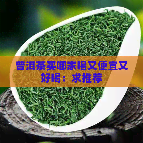 普洱茶买哪家喝又便宜又好喝：求推荐