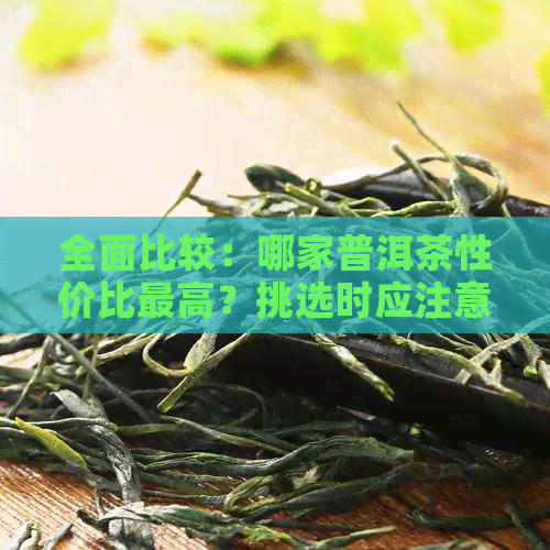 全面比较：哪家普洱茶性价比更高？挑选时应注意哪些因素？