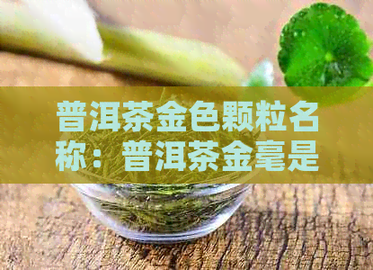 普洱茶金色颗粒名称：普洱茶金毫是什么