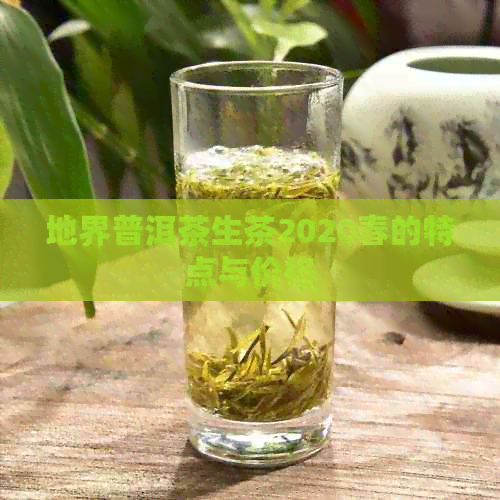 地界普洱茶生茶2020春的特点与价格