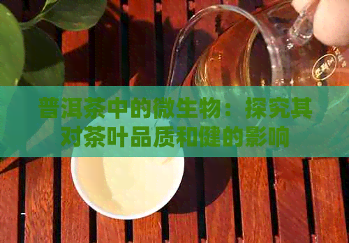 普洱茶中的微生物：探究其对茶叶品质和健的影响