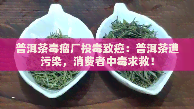 普洱茶瘤厂投致癌：普洱茶遭污染，消费者中求救！