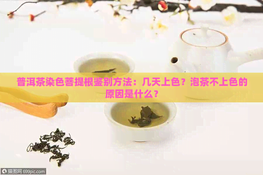 普洱茶染色菩提根鉴别方法：几天上色？泡茶不上色的原因是什么？