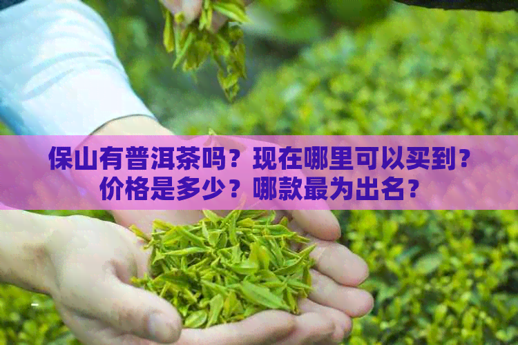 保山有普洱茶吗？现在哪里可以买到？价格是多少？哪款最为出名？