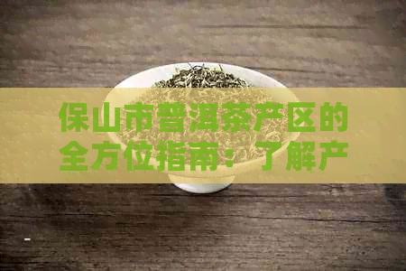 保山市普洱茶产区的全方位指南：了解产地、品种、制作工艺等关键信息