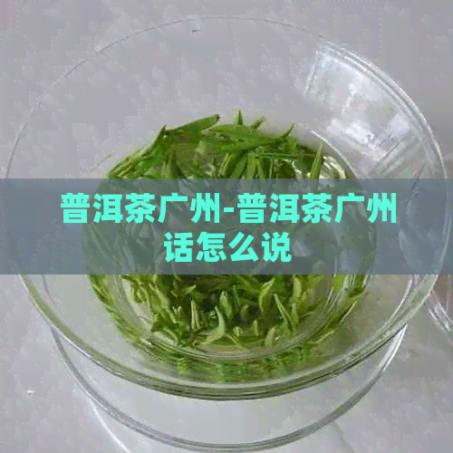 普洱茶广州-普洱茶广州话怎么说