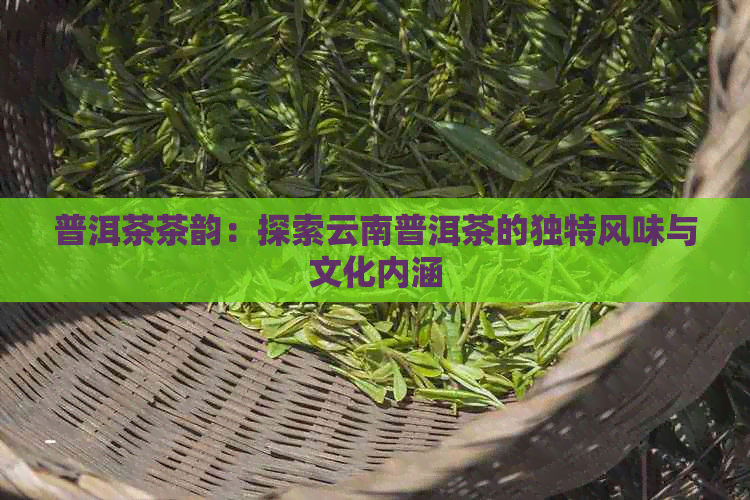 普洱茶茶韵：探索云南普洱茶的独特风味与文化内涵