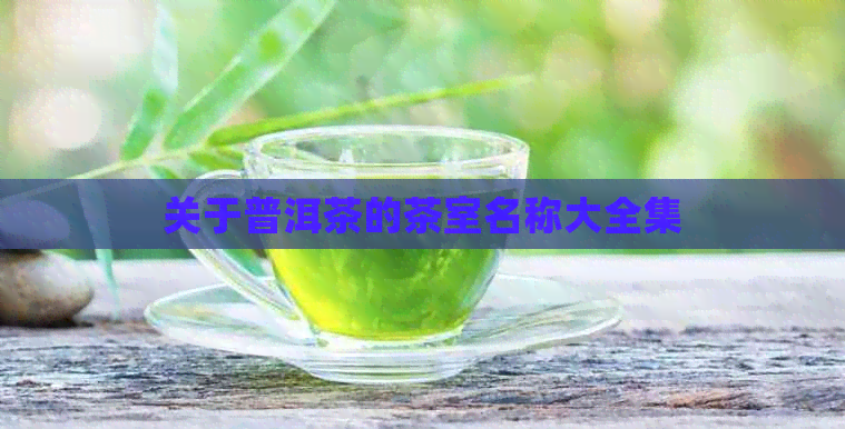 关于普洱茶的茶室名称大全集