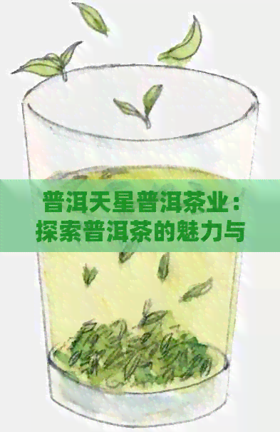 普洱天星普洱茶业：探索普洱茶的魅力与品质，解答您的所有疑问