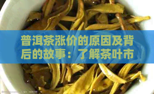 普洱茶涨价的原因及背后的故事：了解茶叶市场动态与消费者需求