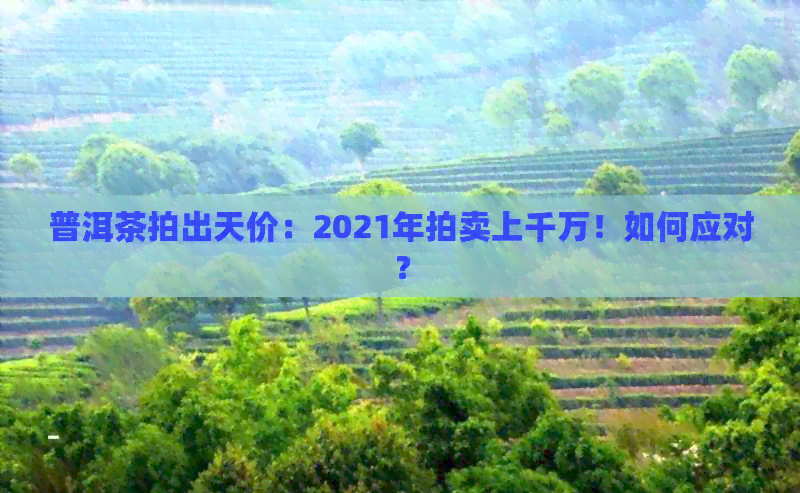 普洱茶拍出天价：2021年拍卖上千万！如何应对？