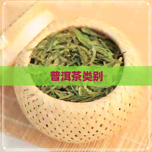 普洱茶类别