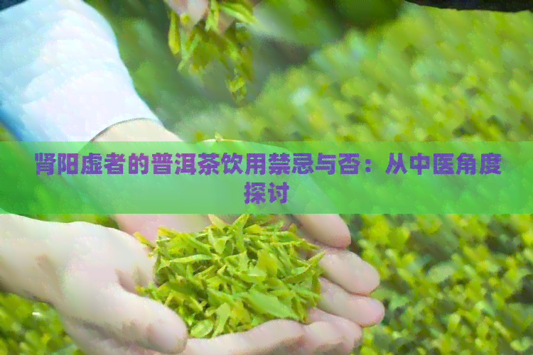 肾阳虚者的普洱茶饮用禁忌与否：从中医角度探讨