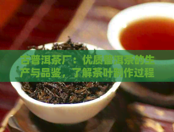 古普洱茶厂：优质普洱茶的生产与品鉴，了解茶叶制作过程与口感特点